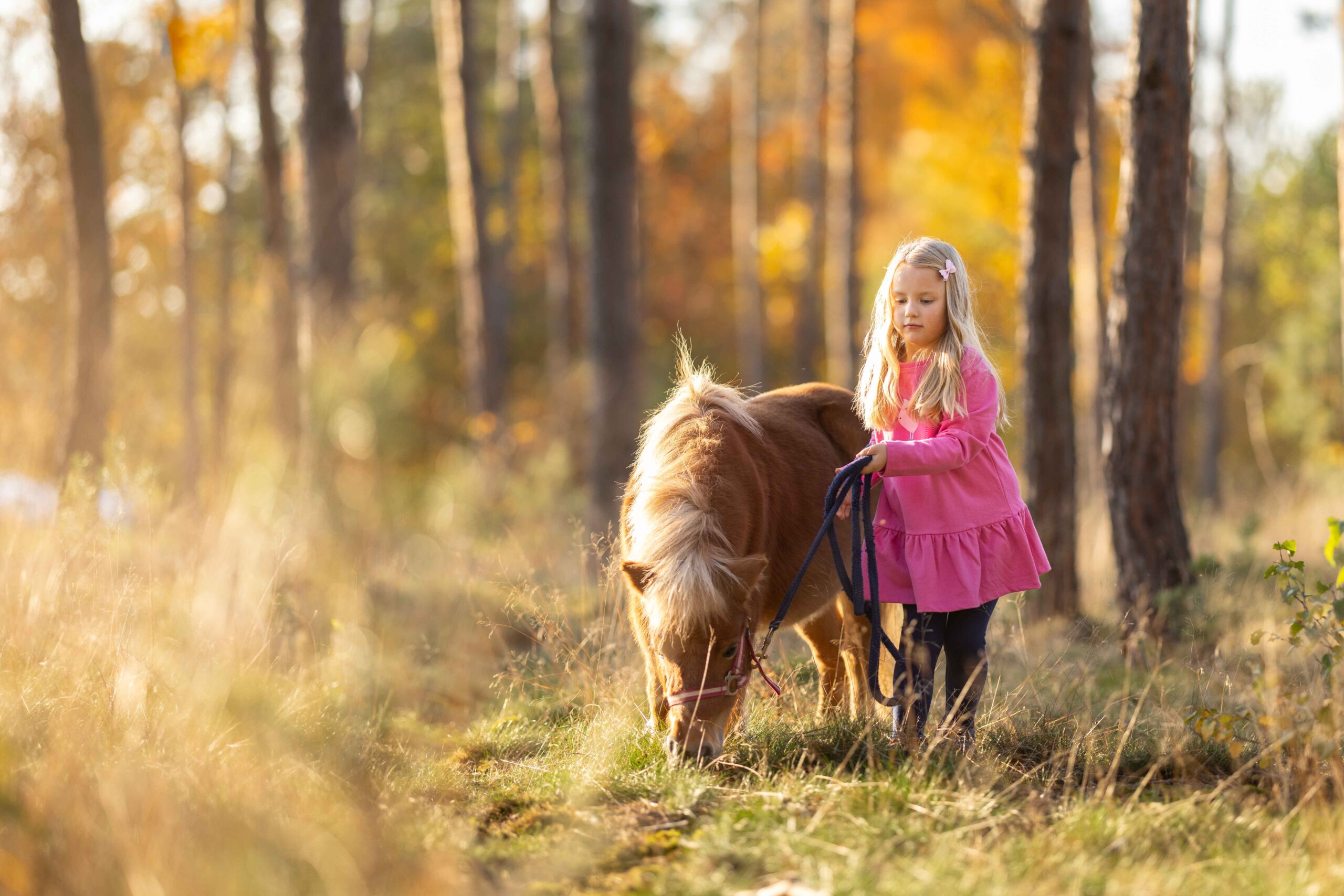 Rodinné focení s koňmi
